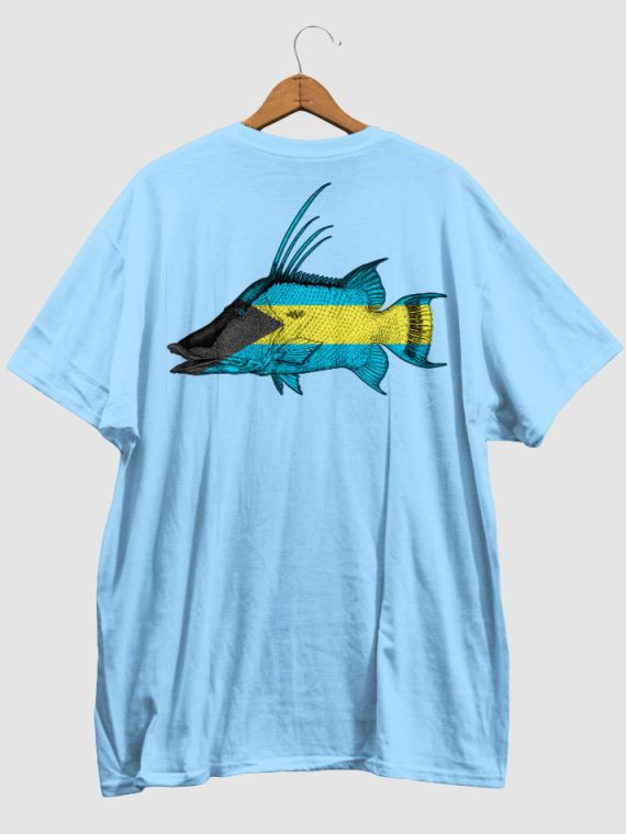 hogfish, bahamas, bahamian, flag, light blue